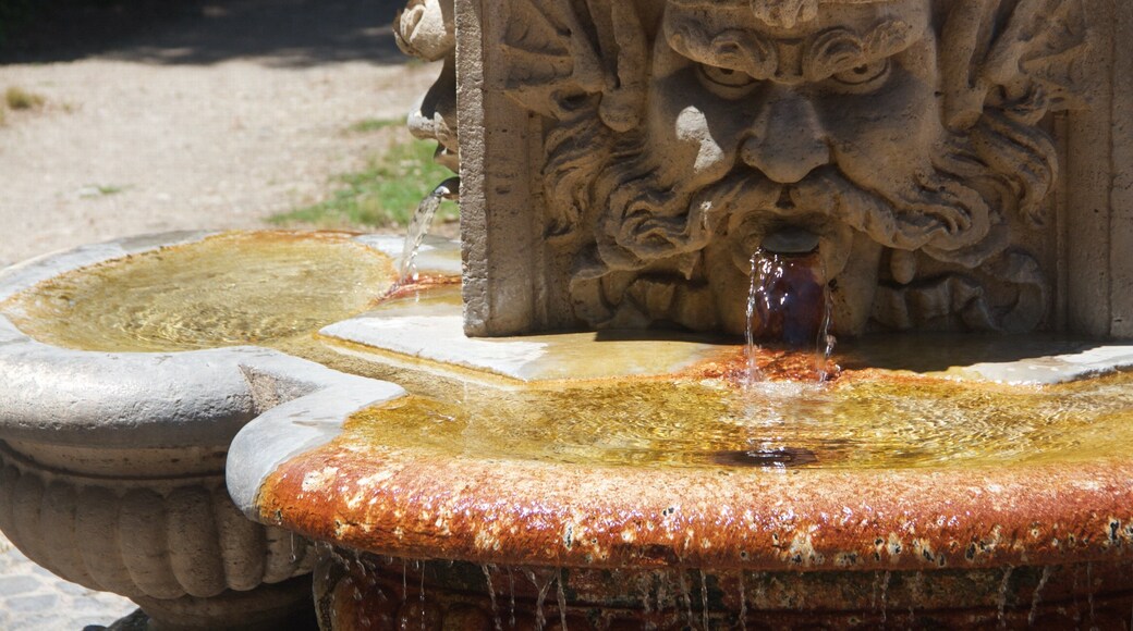 Borghese Gallery which includes a fountain
