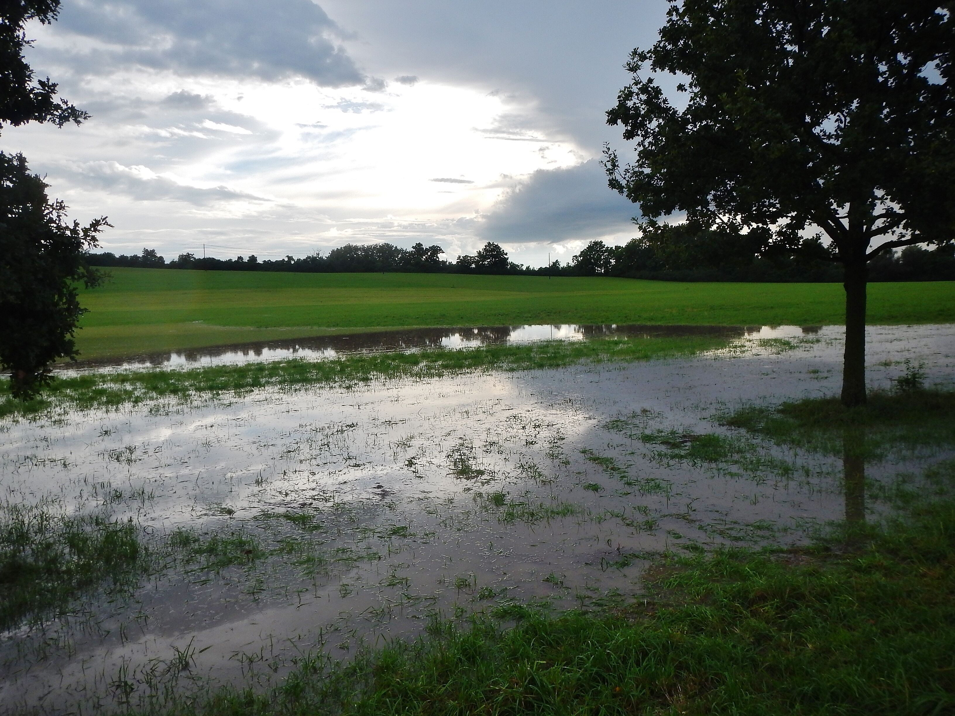 Nach einem Regenschauer
