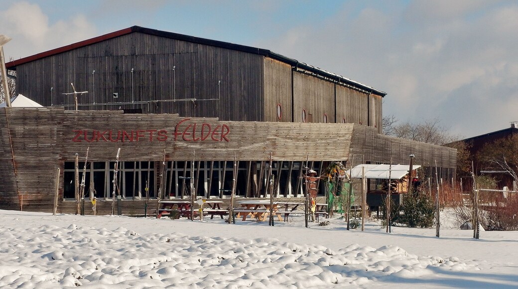 Schulbauernhof Zukunftsfelder am Grünen Heiner