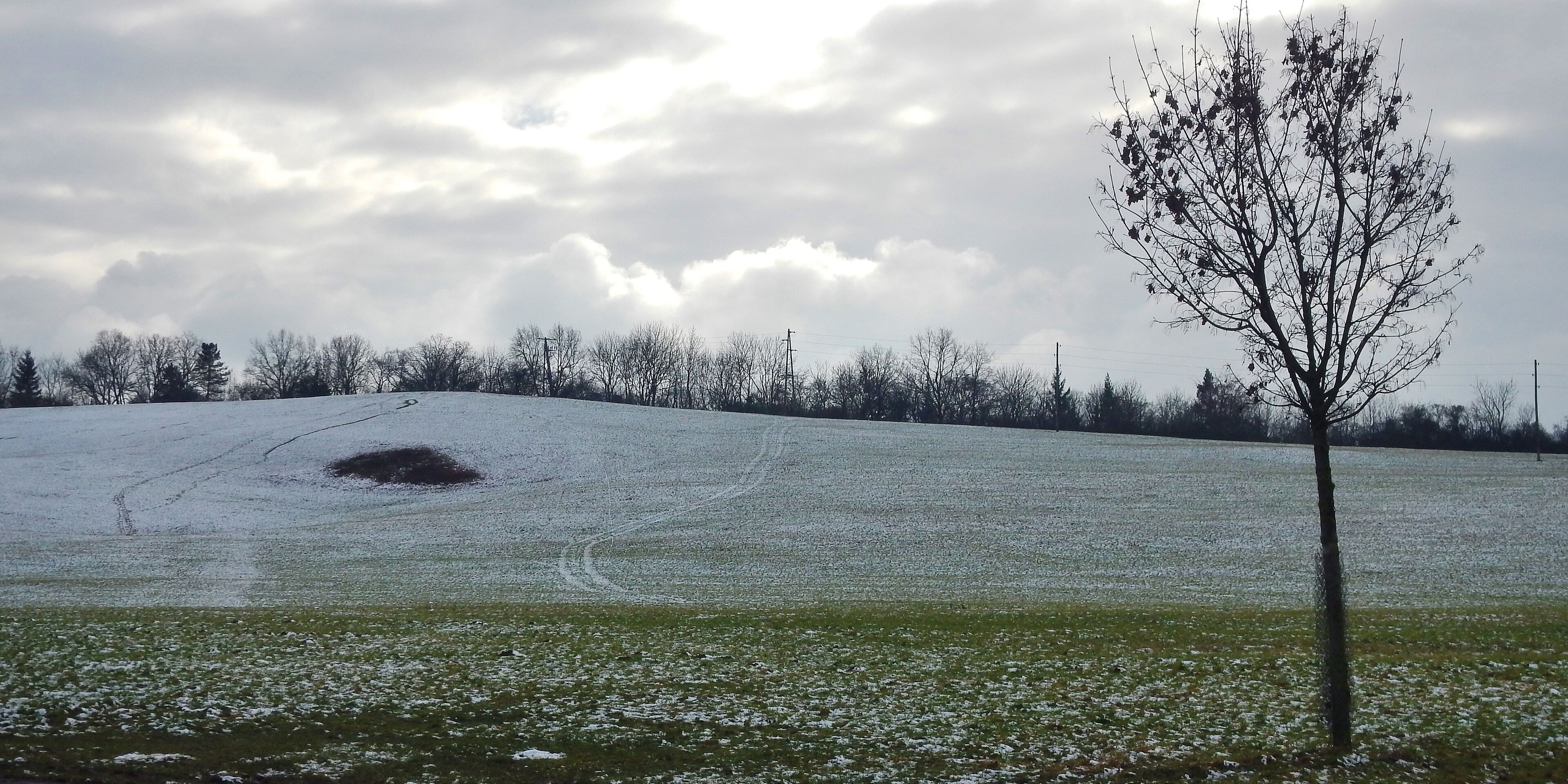 Wiese bei Korntal-Münchingen