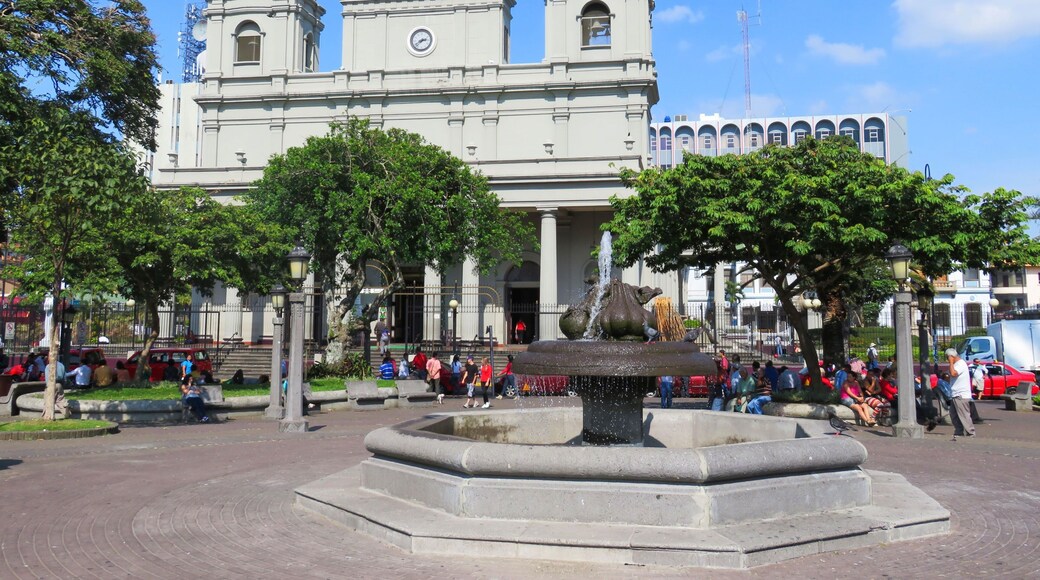 Catedral