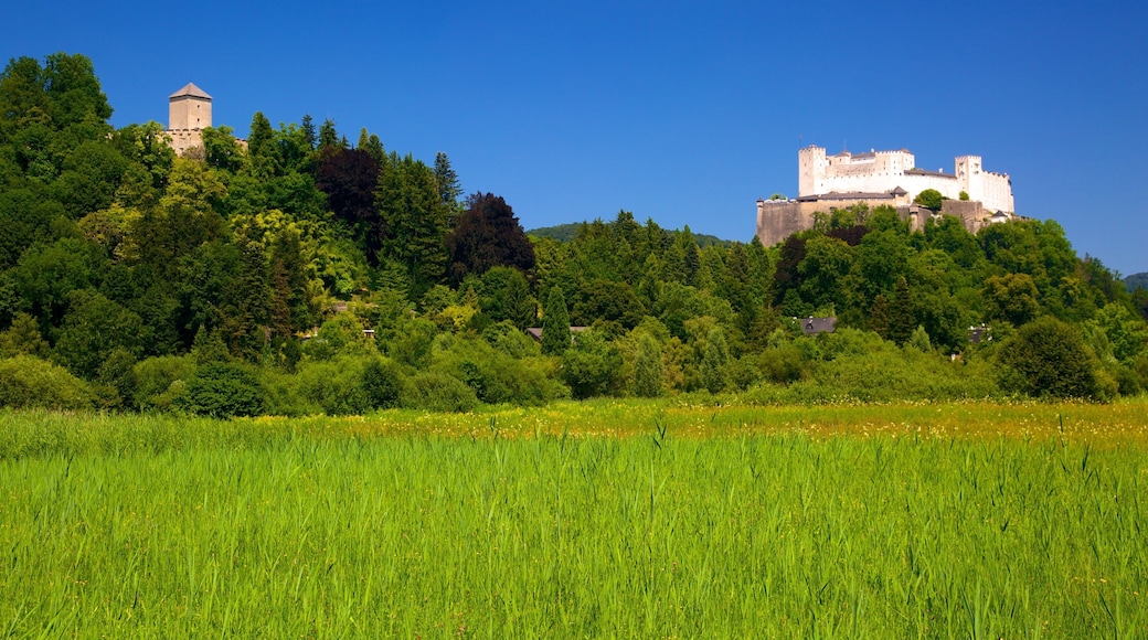 Festung Hohensalzburg which includes landscape views and a castle