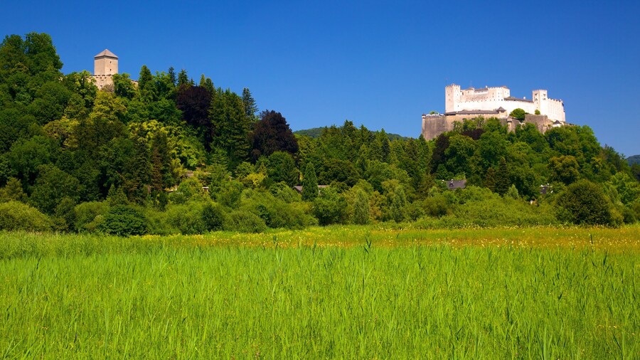 Festung Hohensalzburg som inkluderar ett slott och landskap