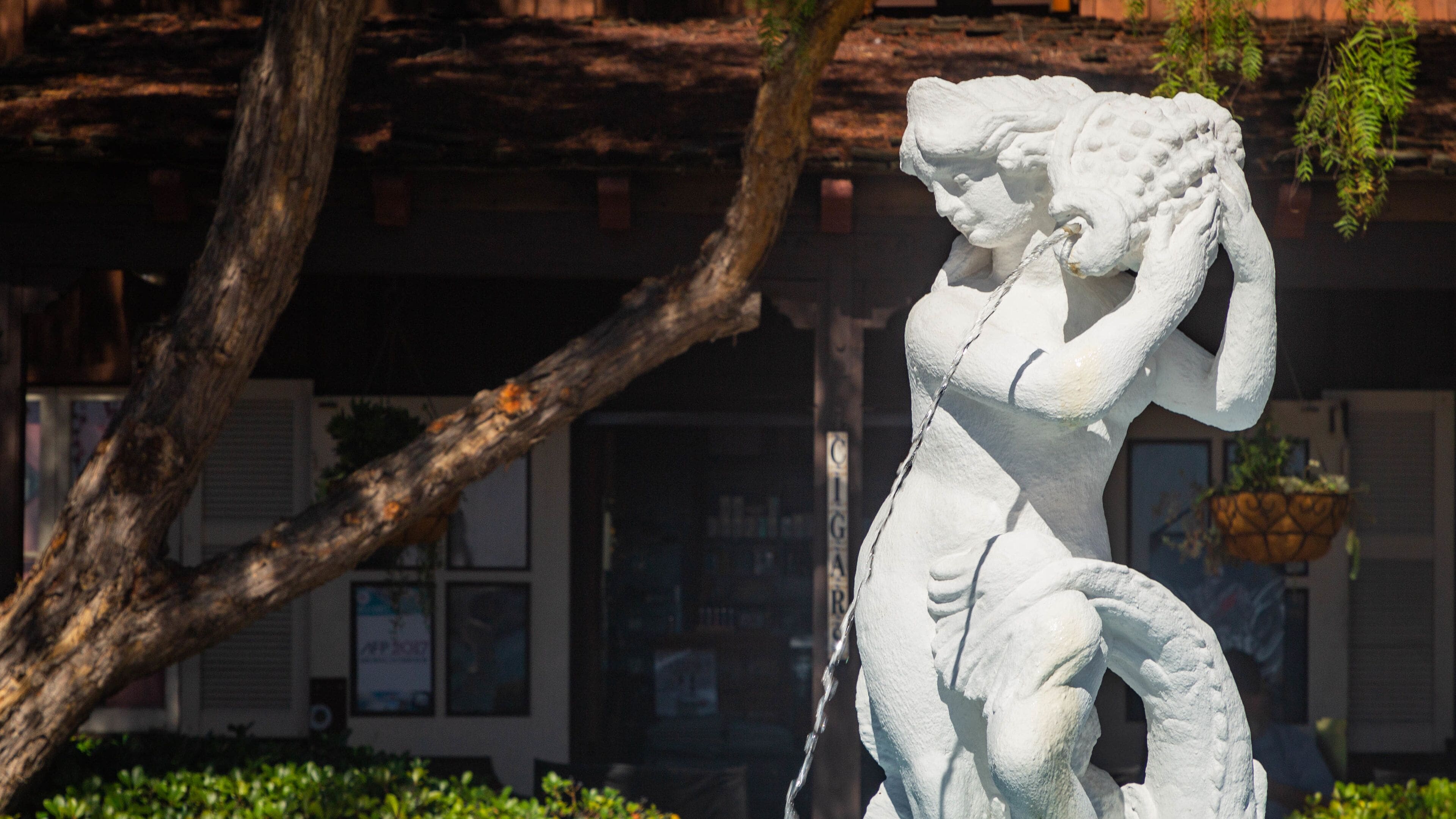 Seaport Village which includes a fountain