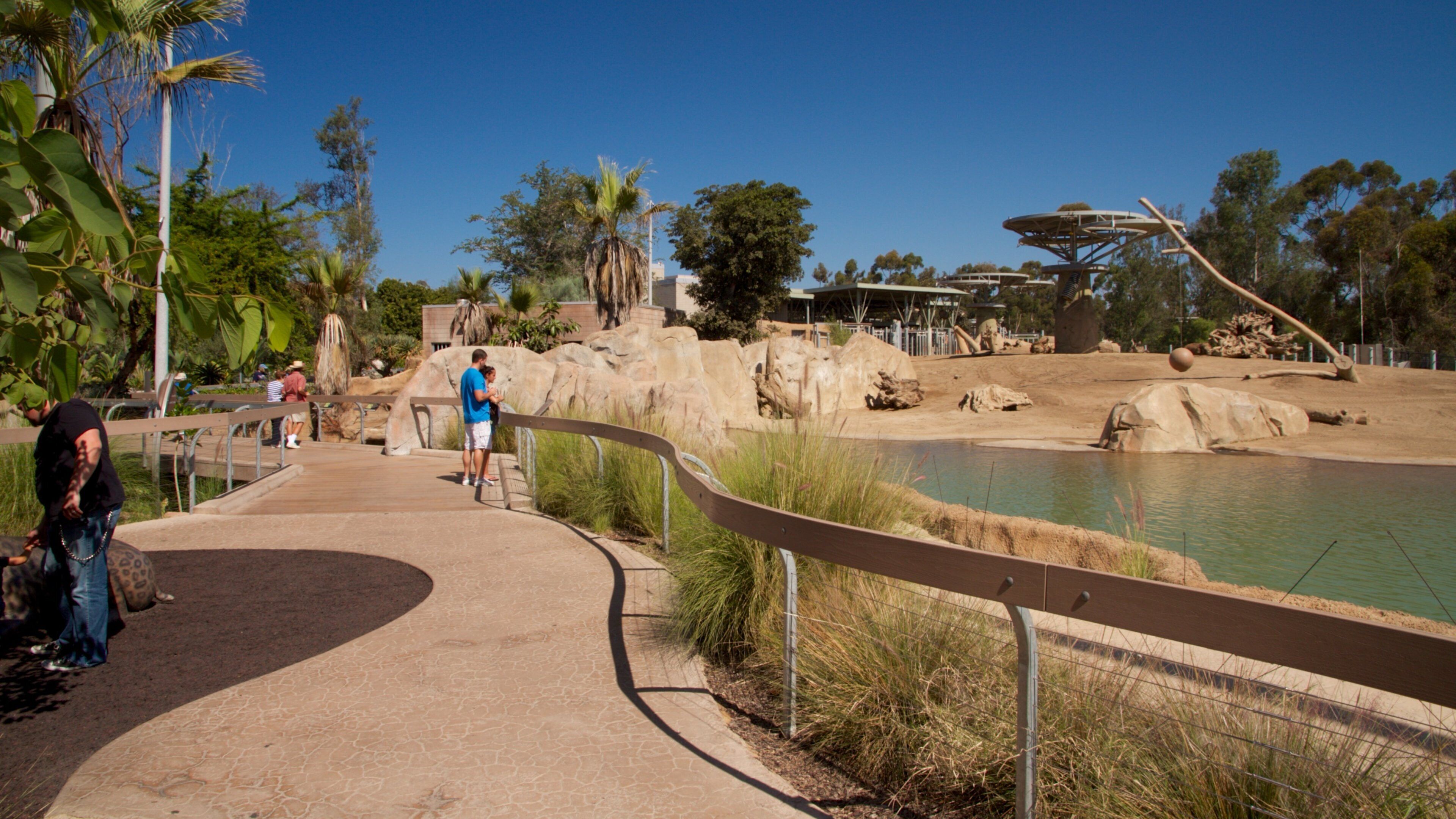 San Diego Zoo featuring landscape views, zoo animals and a pond