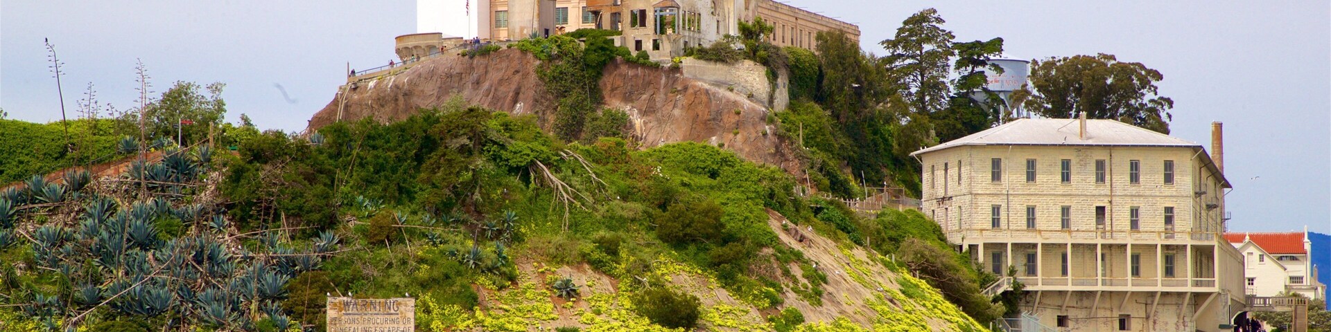 Alcatraz Island showing island images
