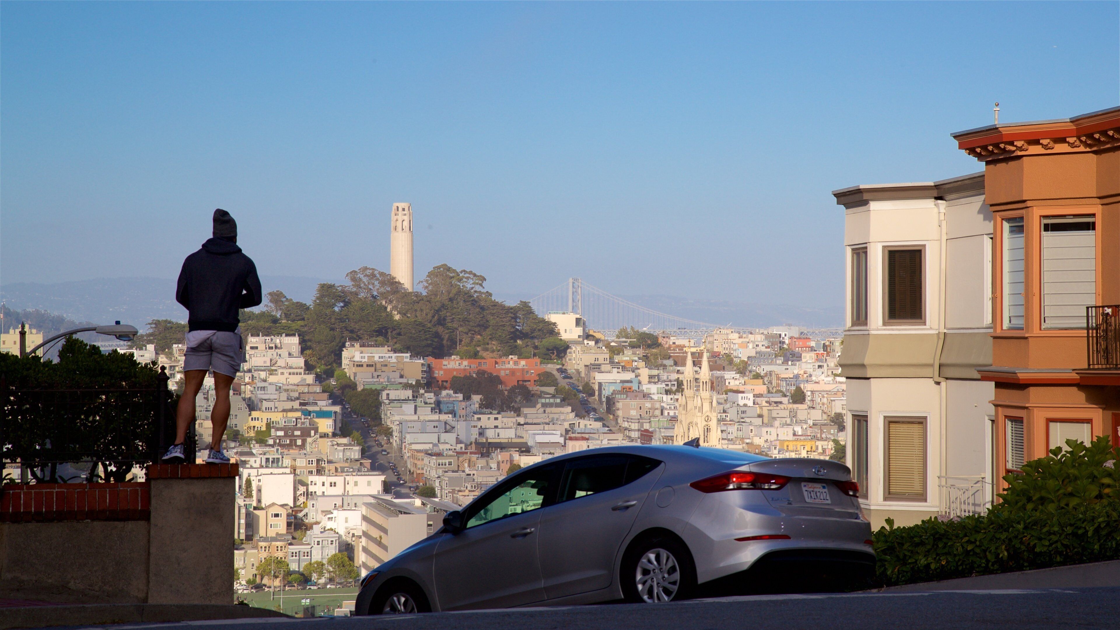 Lombard Street showing views as well as an individual male