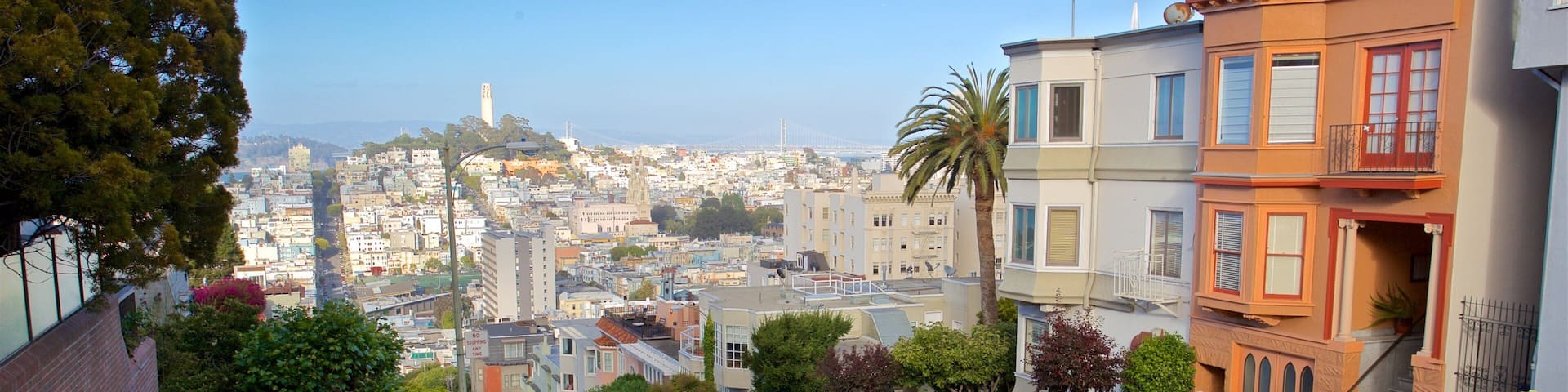 Lombard Street featuring flowers and a garden
