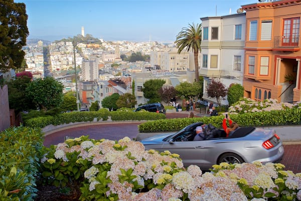 Lombard Street featuring flowers and a garden
