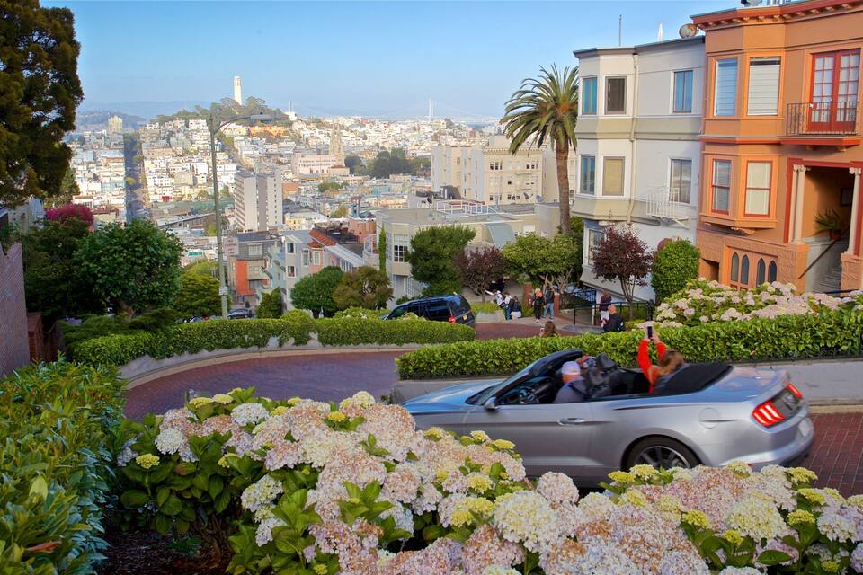 A scenic view of a city with a prominent bridge in the distance, lush greenery, and a variety of buildings.