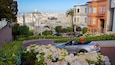 Lombard Street featuring flowers and a garden