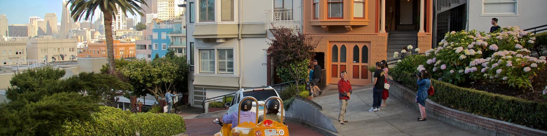 Lombard Street showing flowers and a house as well as a small group of people