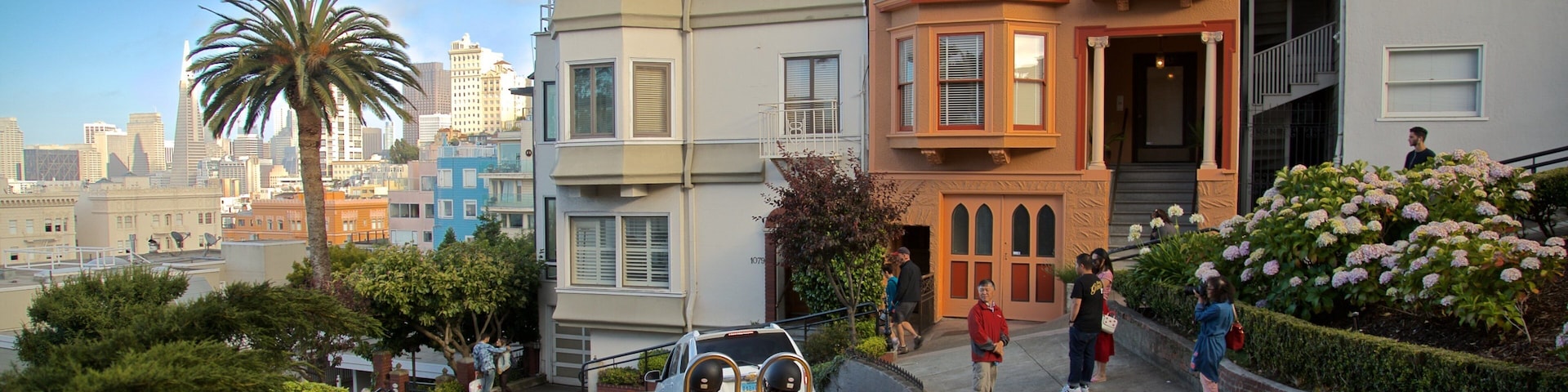 Lombard Street showing flowers and a house as well as a small group of people