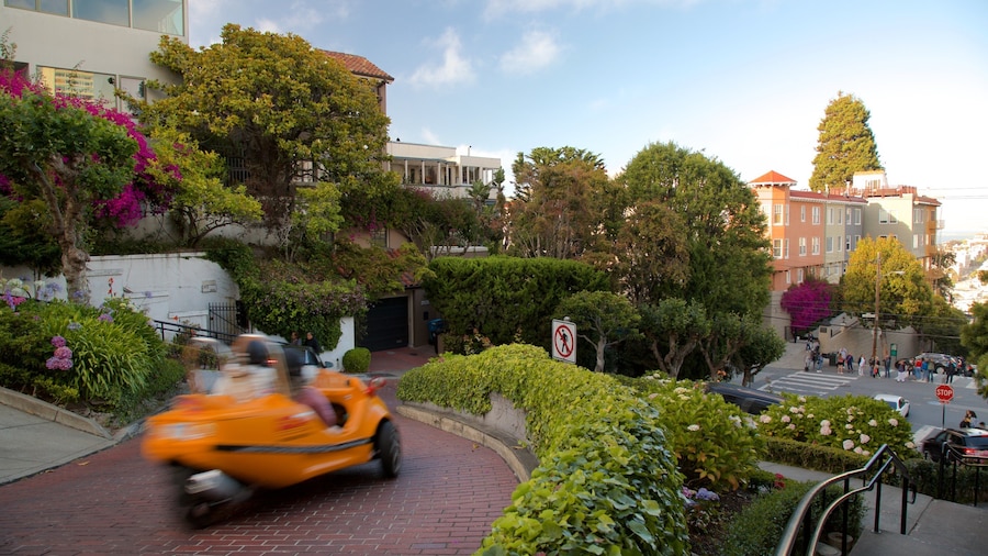 Lombard Street featuring a garden, flowers and a sunset