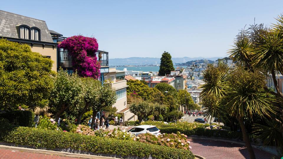 A hillside residential area with a view of a bay, palm trees, and a white car parked on the street.