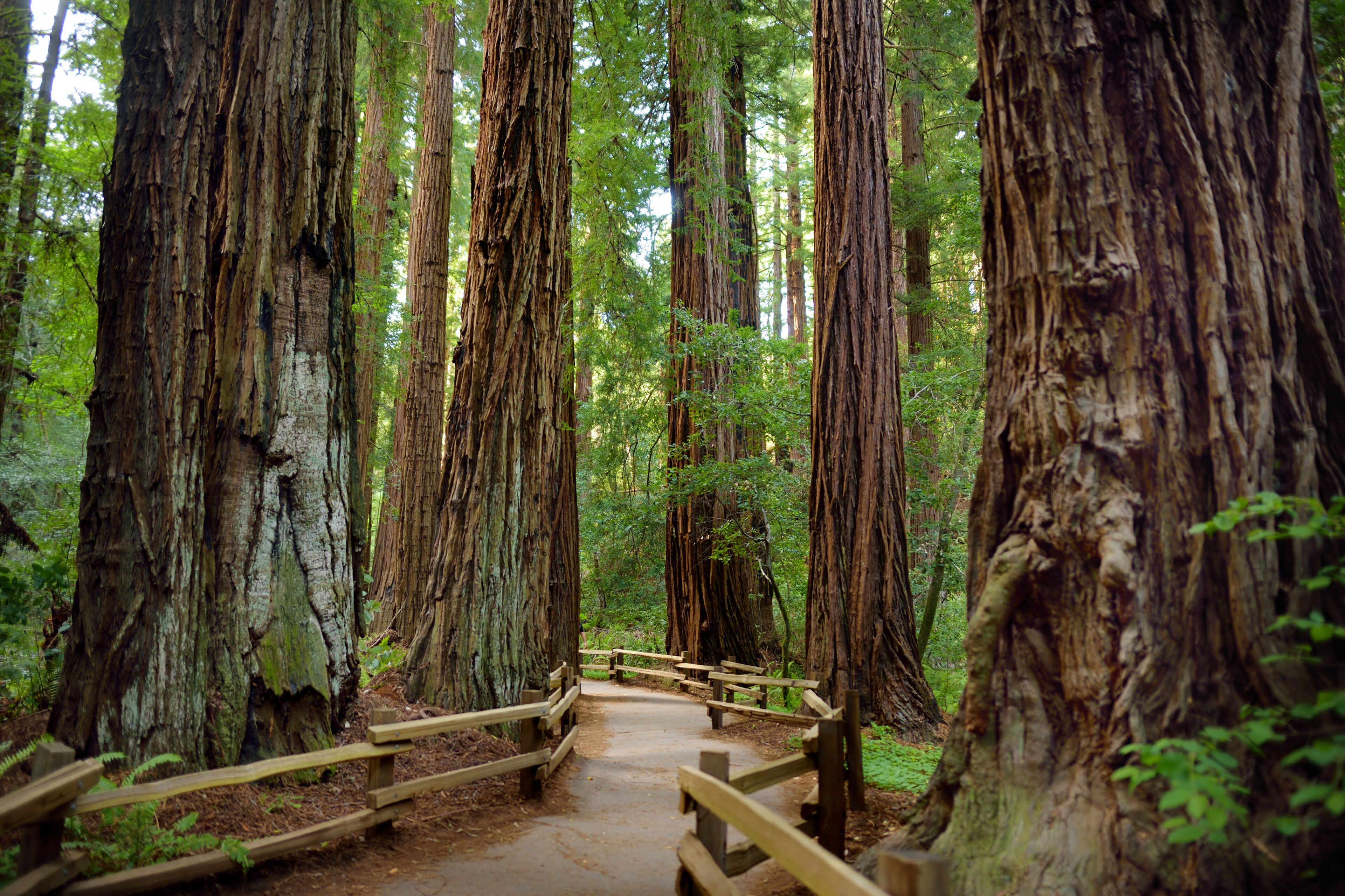 Mill Valley