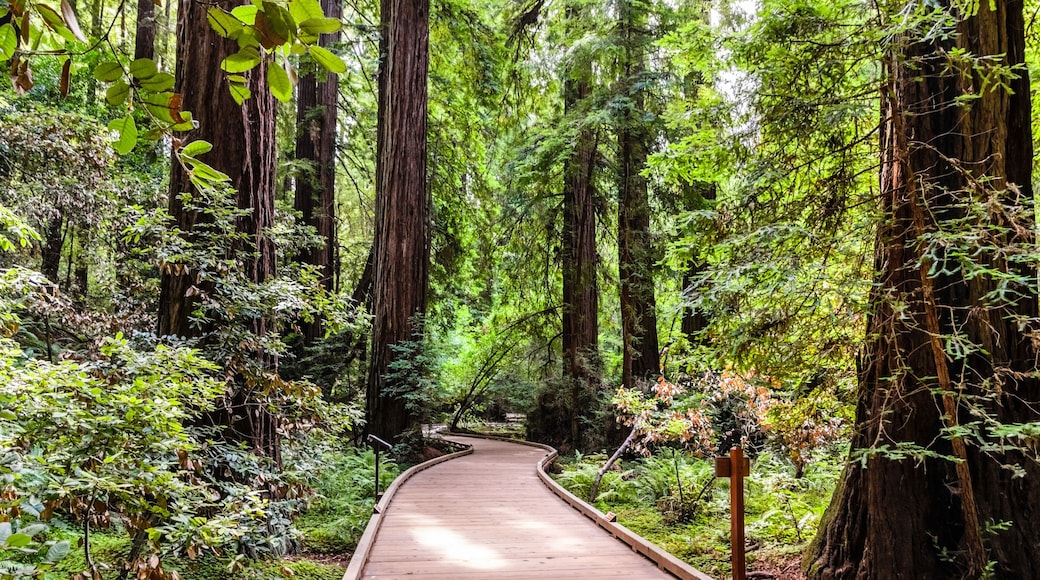 Mill Valley