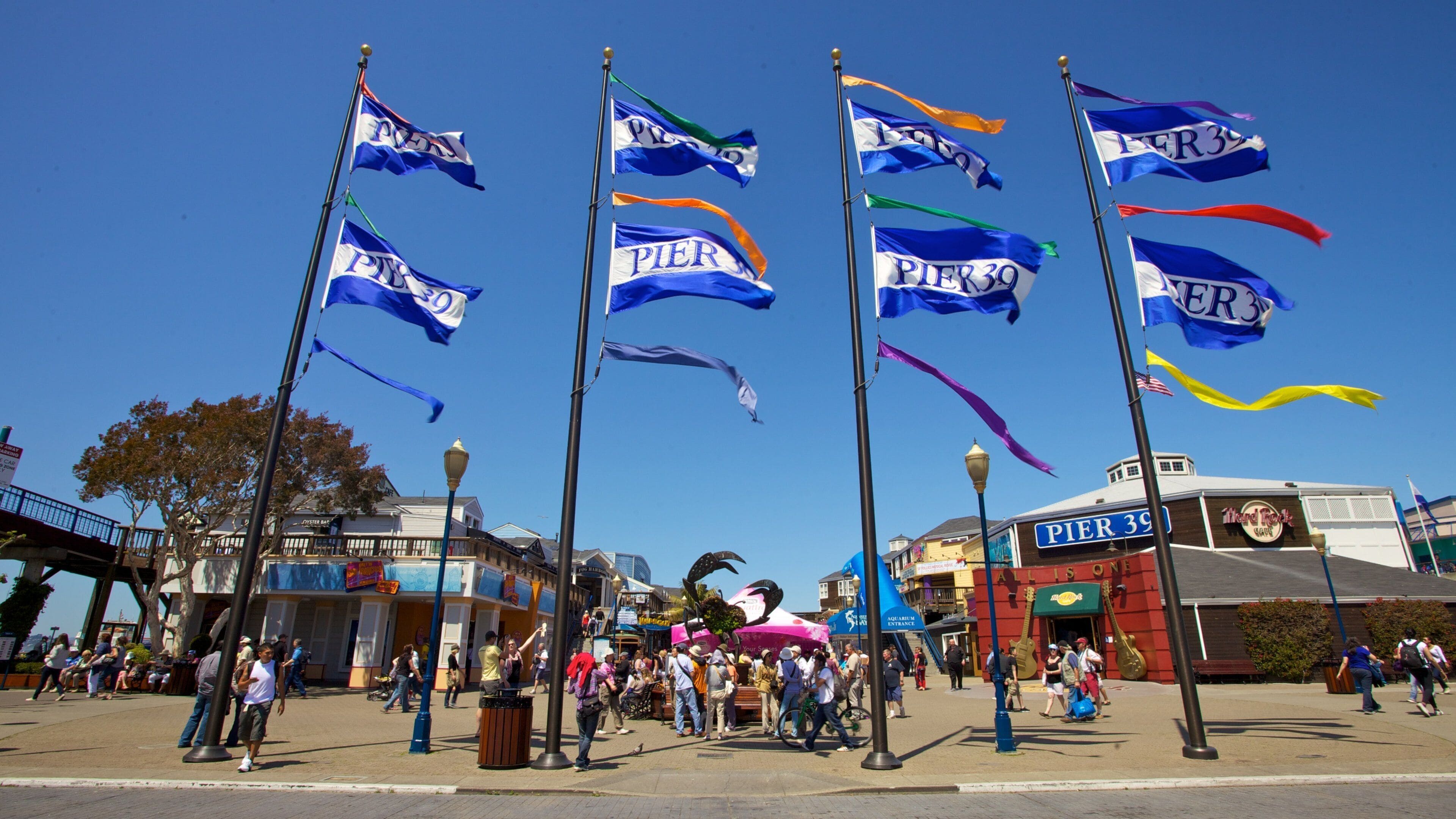 Visitors enjoy a sunny day exploring Pier 39 in San Francisco, California with vibrant flags waving in the background