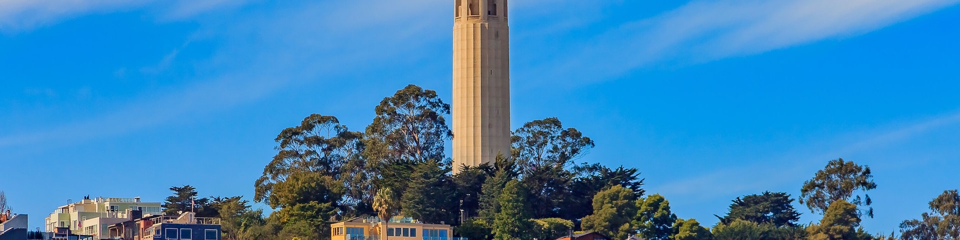 Paisagem urbana com uma torre imponente, edifícios residenciais densos e árvores verdes exuberantes.