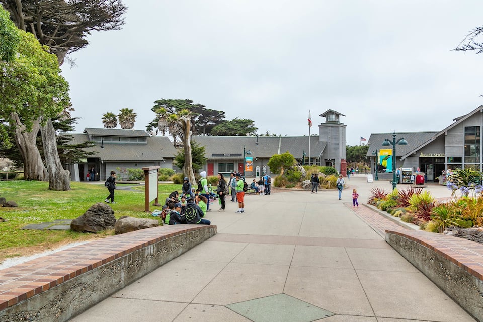 A pathway leading to a building with a gift shop, surrounded by greenery and palm trees.