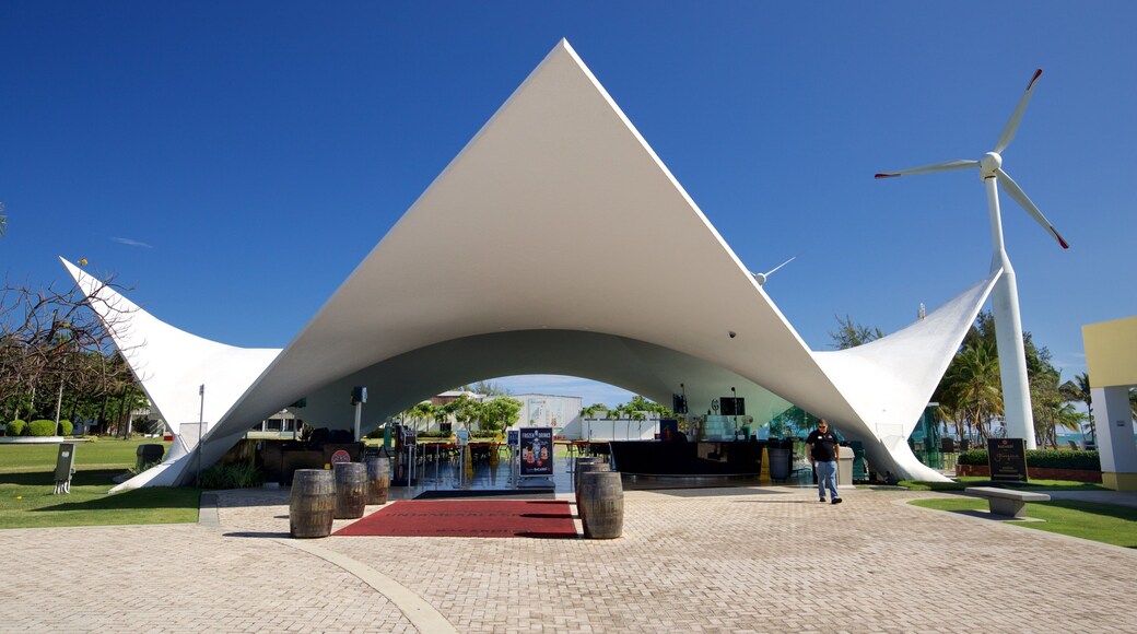 Casa Bacardi showing a park