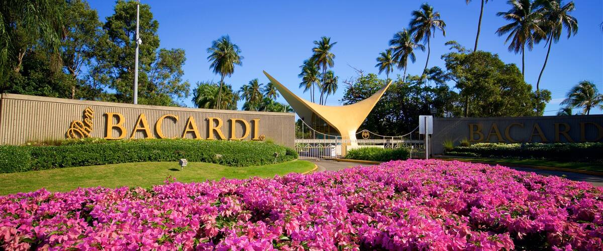 Casa Bacardi