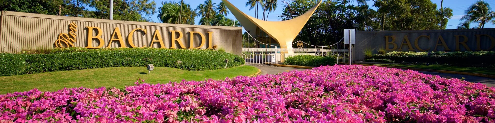 A large sign with 'BAGARDI' in gold letters, surrounded by pink flowers and palm trees.