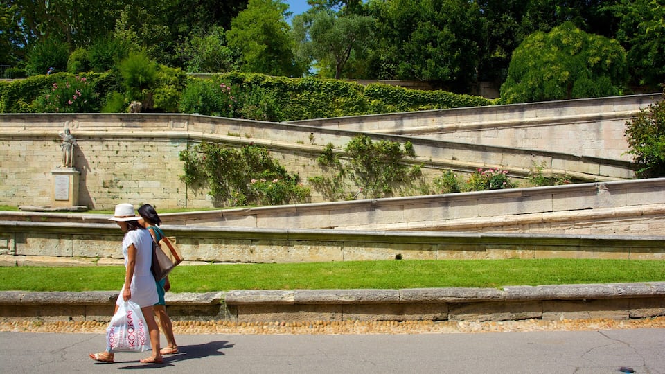 Montfavet which includes a park and street scenes as well as a couple