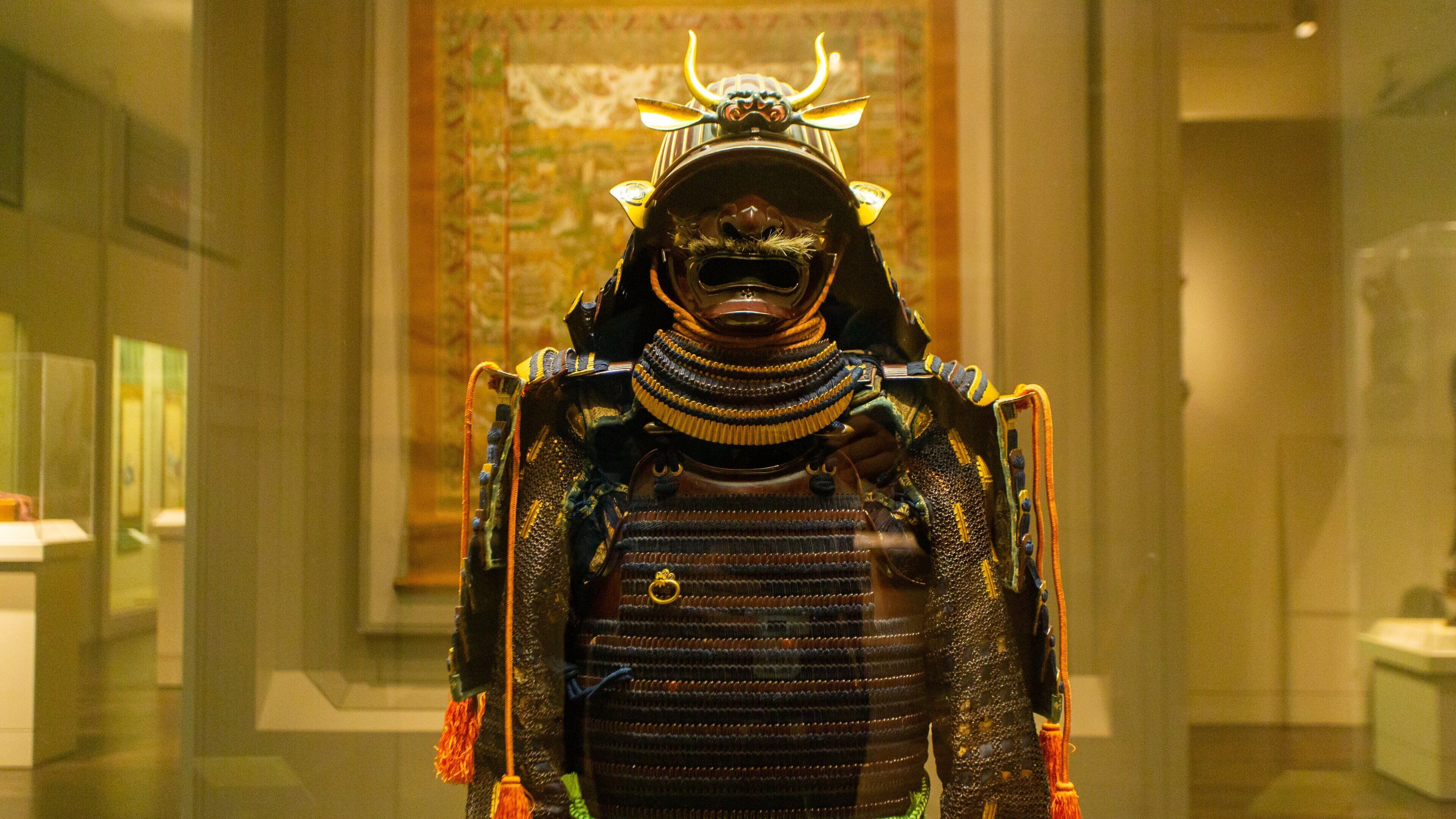 San Antonio Museum of Art which includes heritage elements