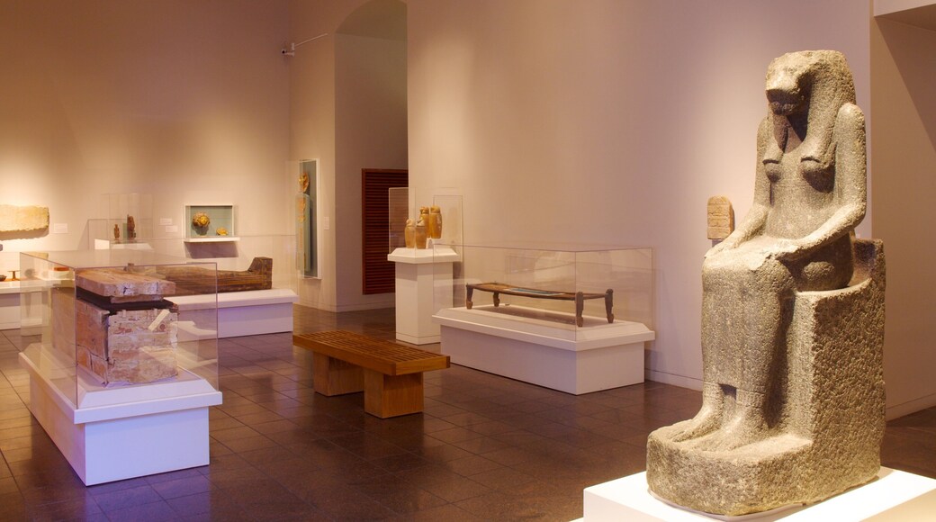 San Antonion taidemuseo johon kuuluu sisäkuvat