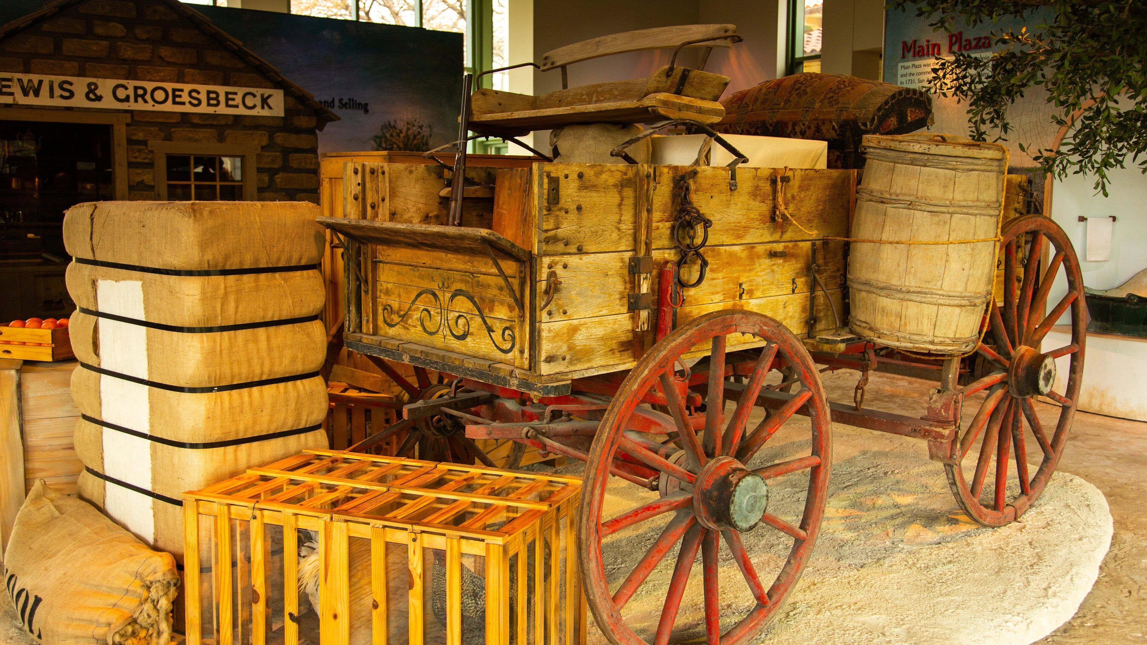 Witte Museum featuring heritage elements