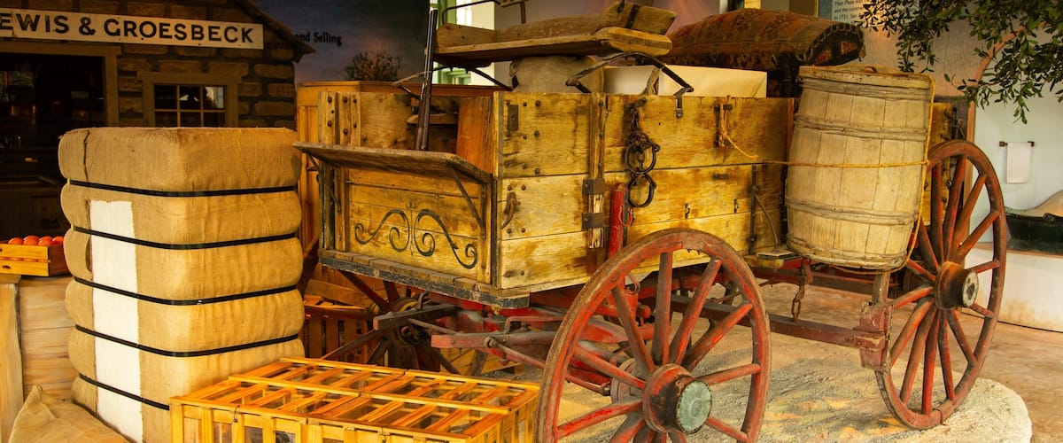 Witte Museum featuring heritage elements