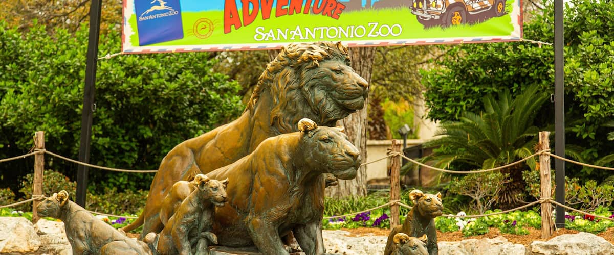 San Antonio Zoo and Aquarium showing a statue or sculpture and signage