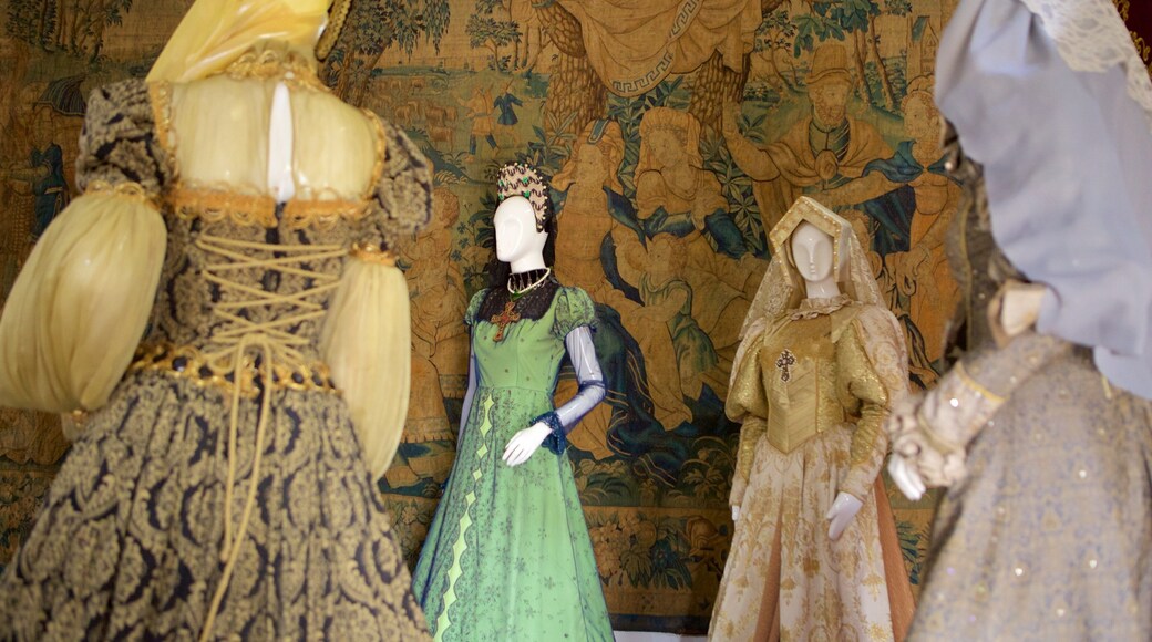 Alcazar de Colon which includes heritage elements