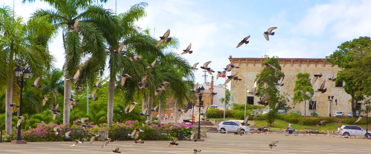 Alcazar de Colon featuring tori