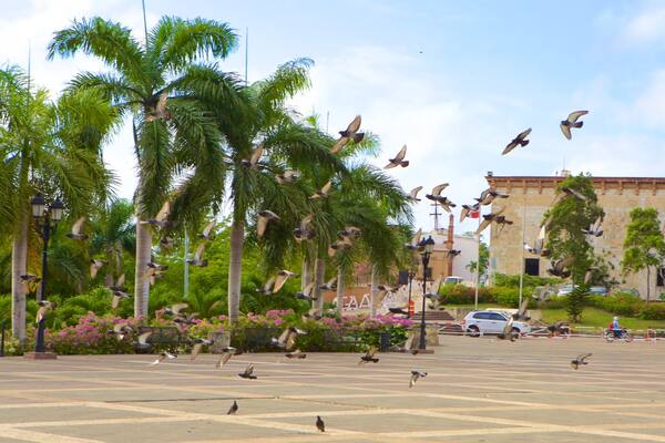 Alcazar de Colon which includes a square or plaza