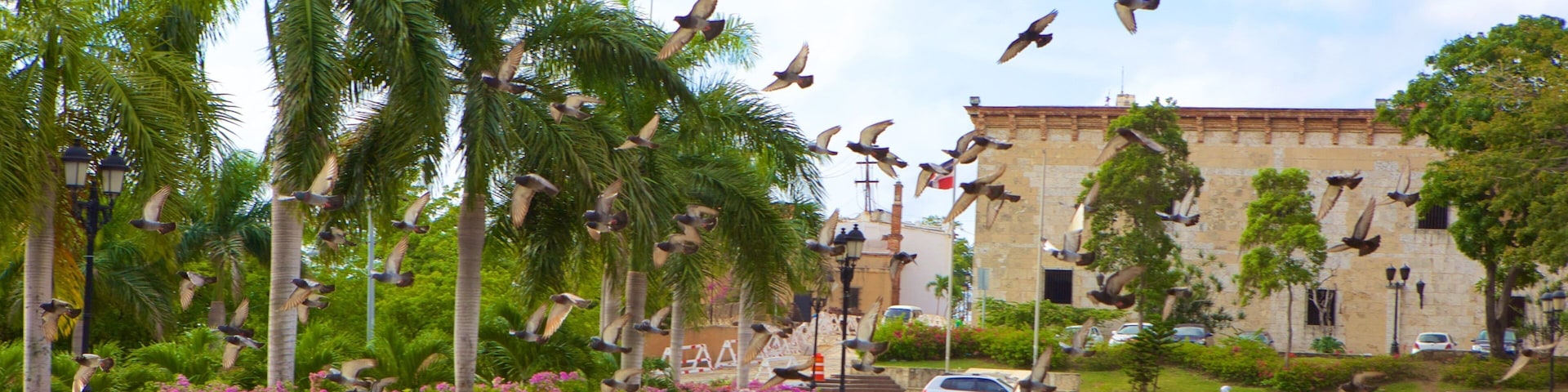 Alcazar de Colon caracterizando uma praça ou plaza