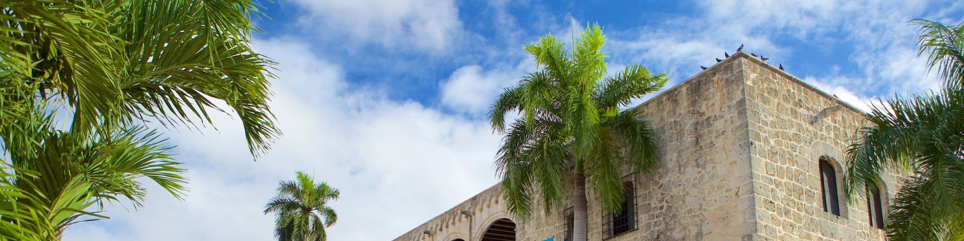 Alcazar de Colon which includes heritage elements and bird life