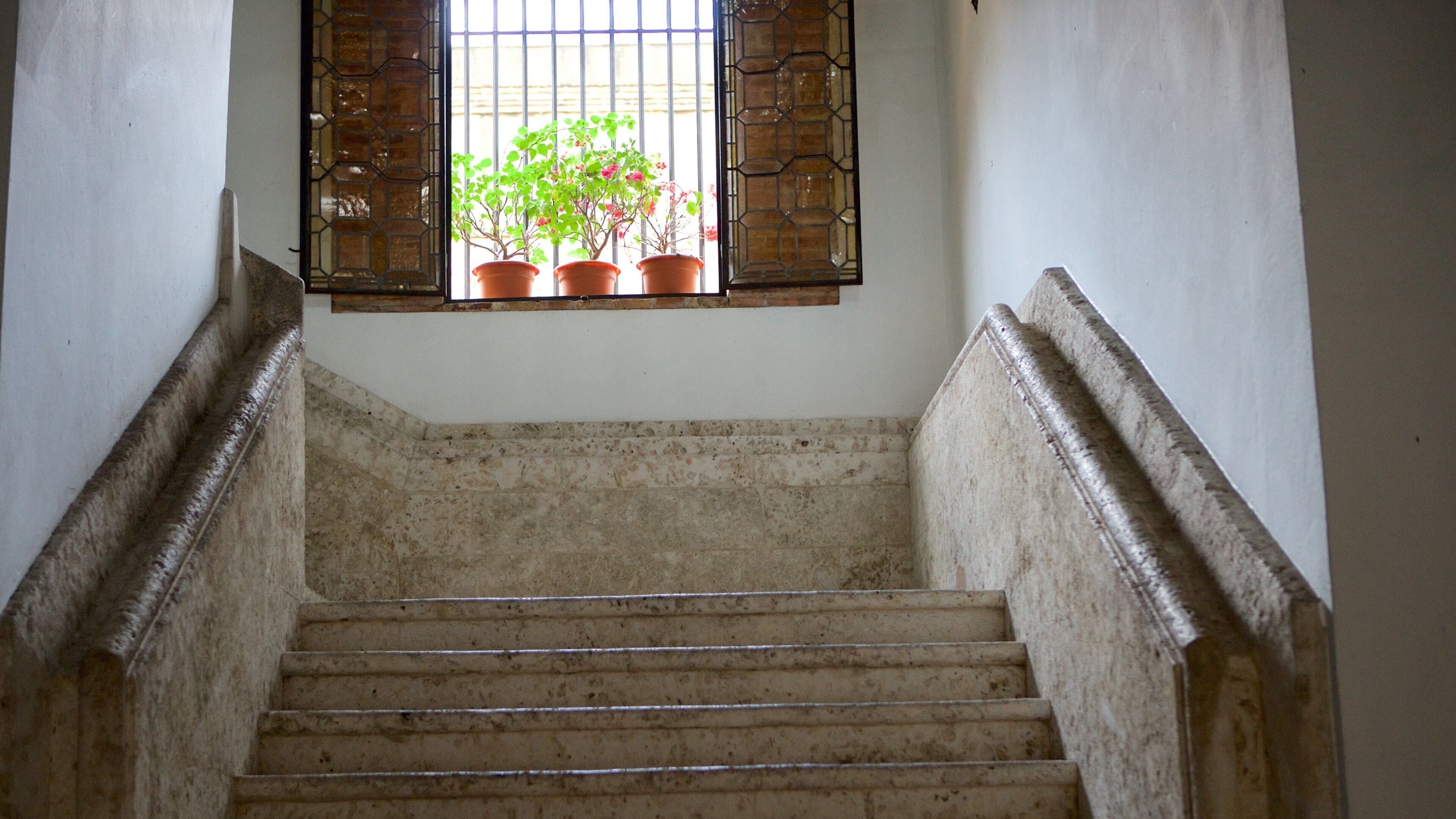 Museo de las Casas Reales ofreciendo vistas de interior