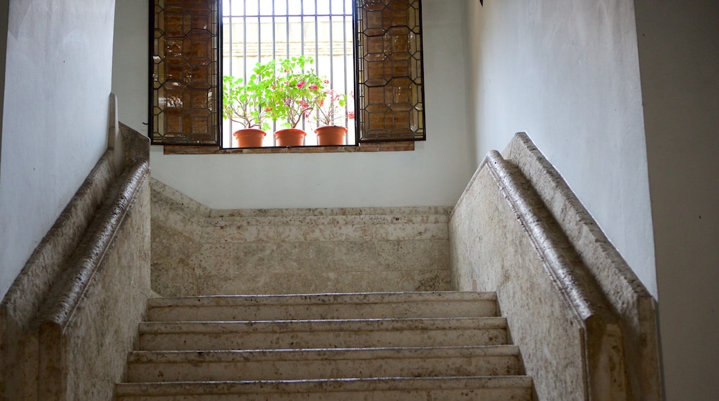 Museo de las Casas Reales ofreciendo vistas de interior