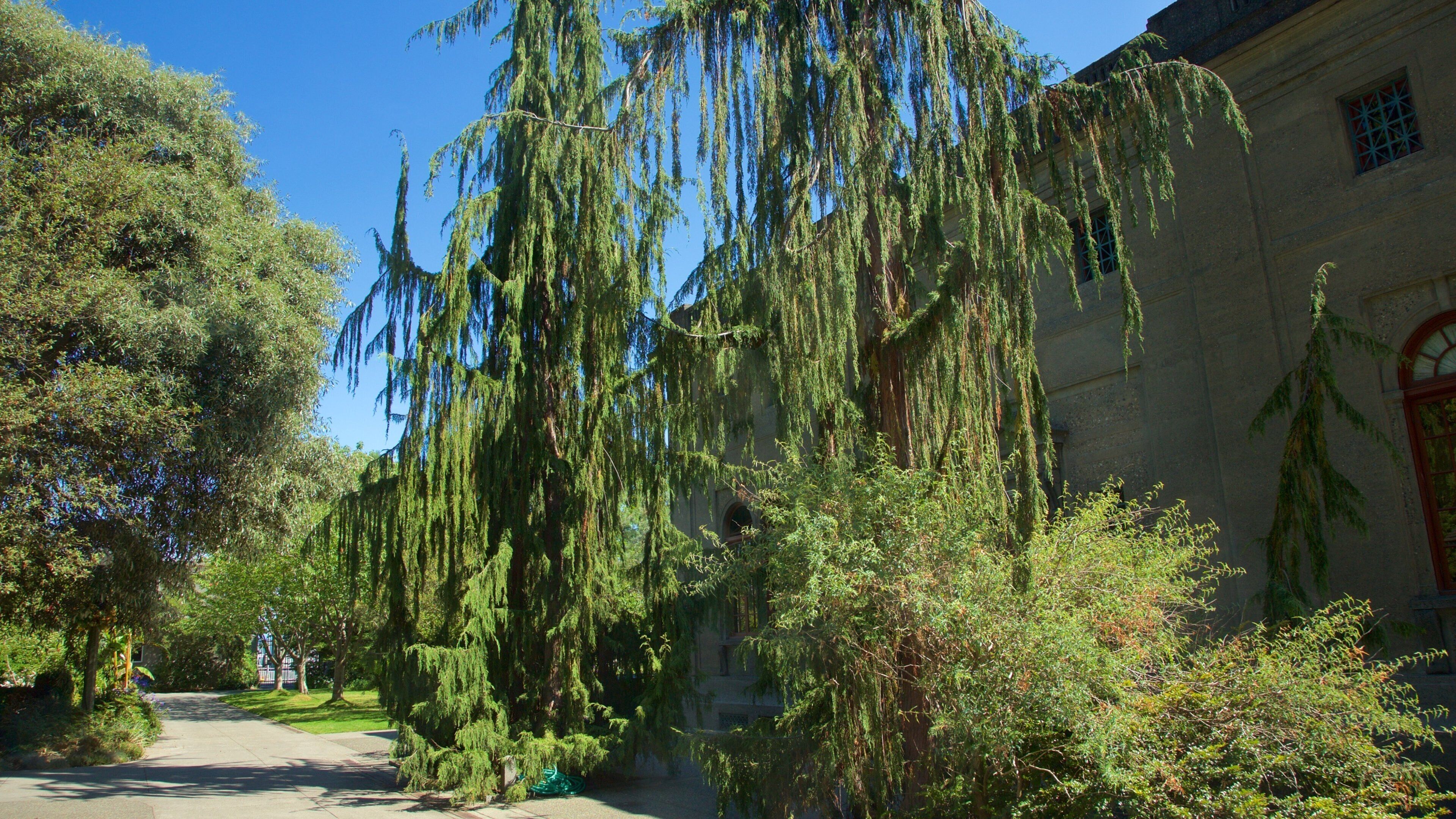 Hiram M. Chittenden Locks showing a garden