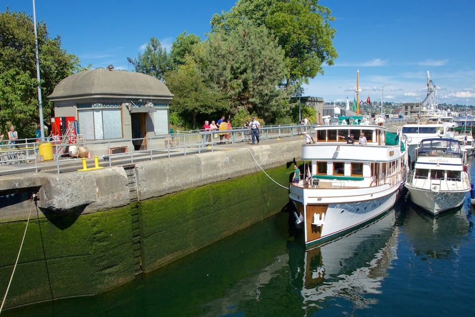A harbor with boats docked, a covered structure, and a bridge in the background.