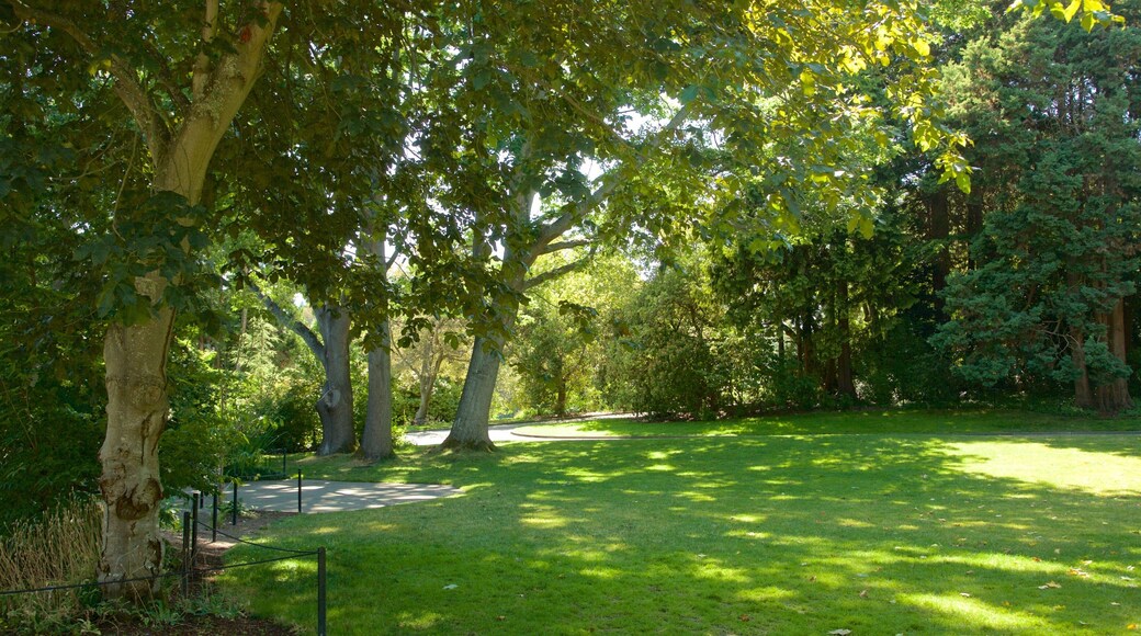 海勒姆·M·奇藤登水闸