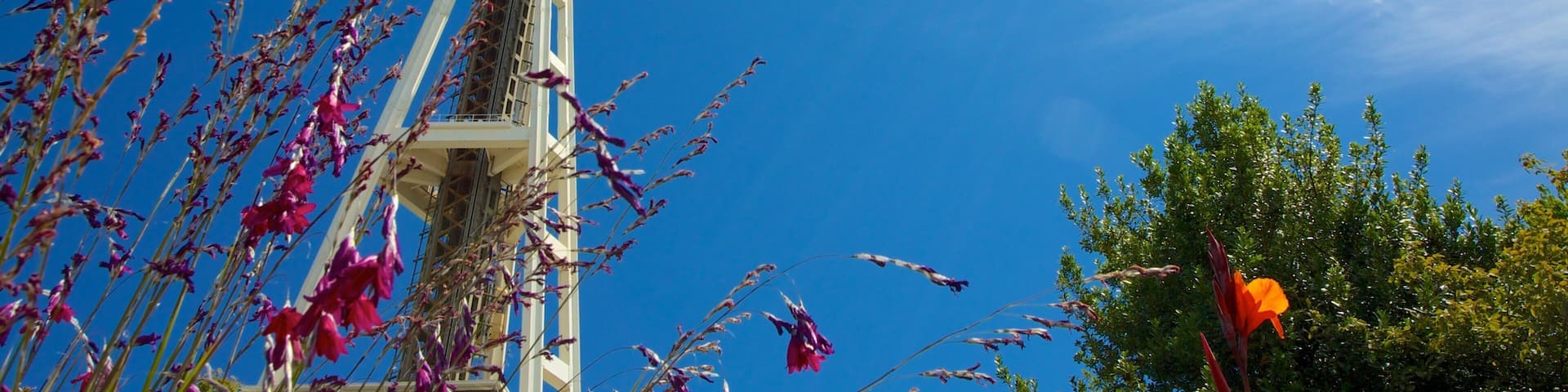 Puget Sound which includes modern architecture