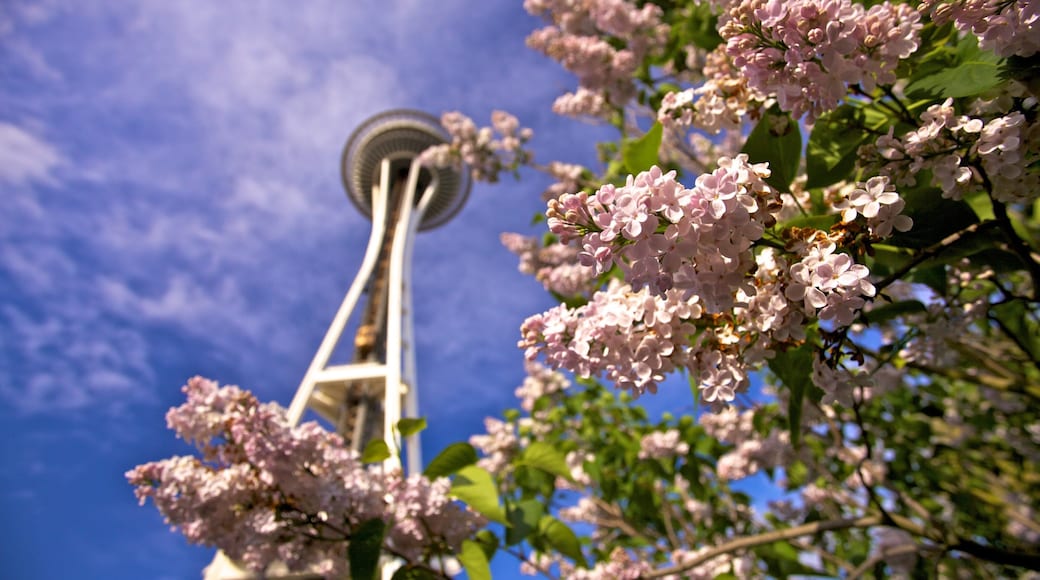Beautiful blooms frame the Space Needle under a clear sky in Seattle, Washington during springtime
