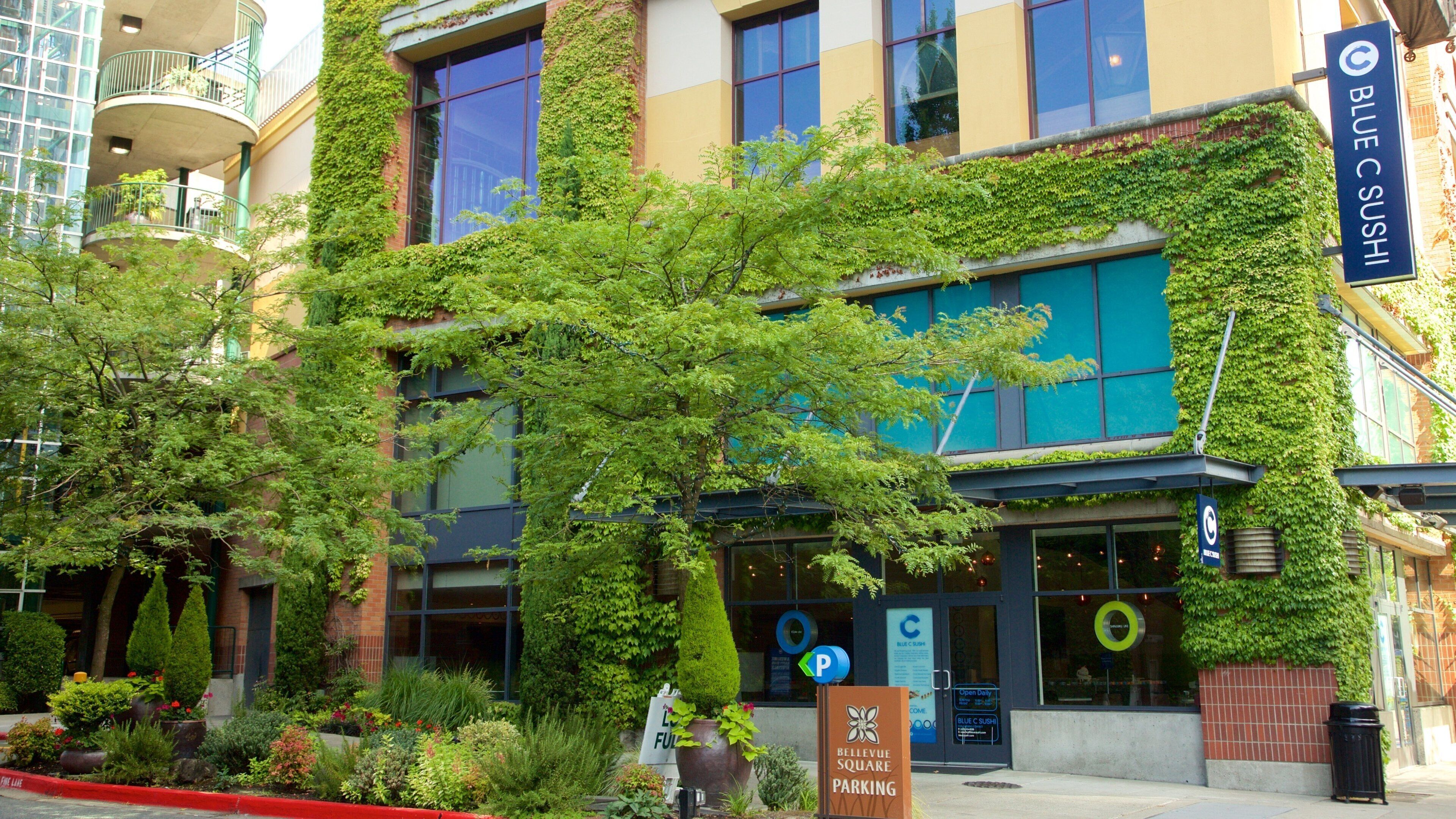 Bellevue Square which includes a square or plaza and street scenes