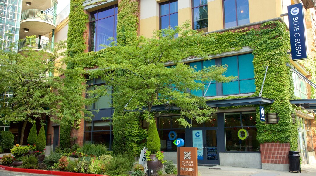 Bellevue Square mit einem Platz oder Plaza und Straßenszenen