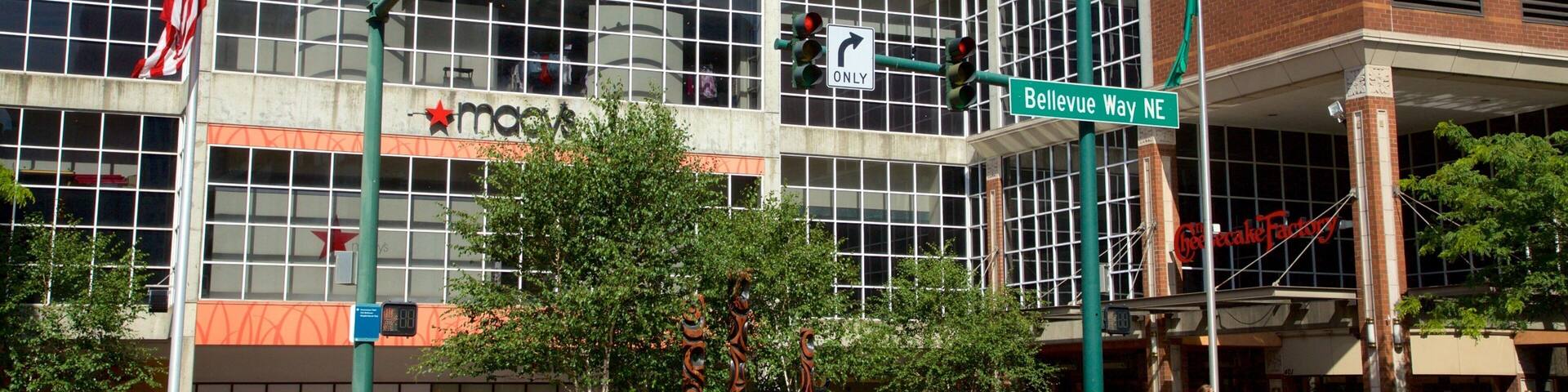 Bellevue Square featuring street scenes and a square or plaza