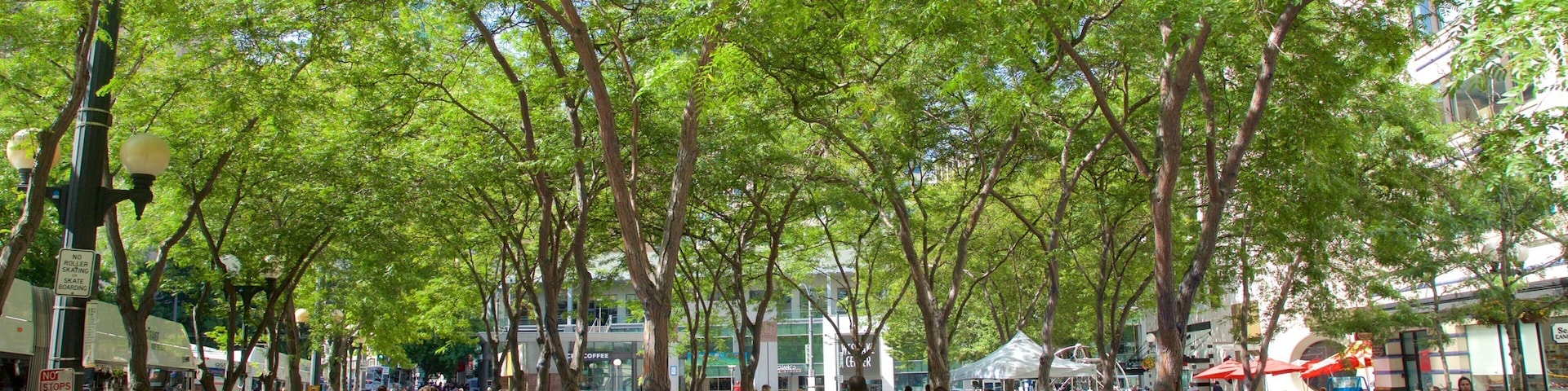 Westlake Center caracterizando uma praça ou plaza assim como um grande grupo de pessoas