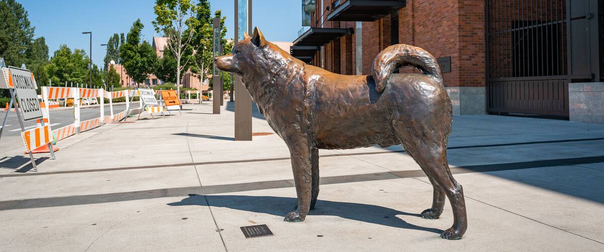 Husky Stadium which includes a statue or sculpture